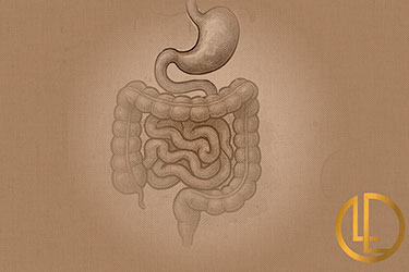 Dra. Luciana Lobato | Especialista em refluxo e diarreia